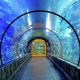 mandalay aquarium best things to do in las vegas