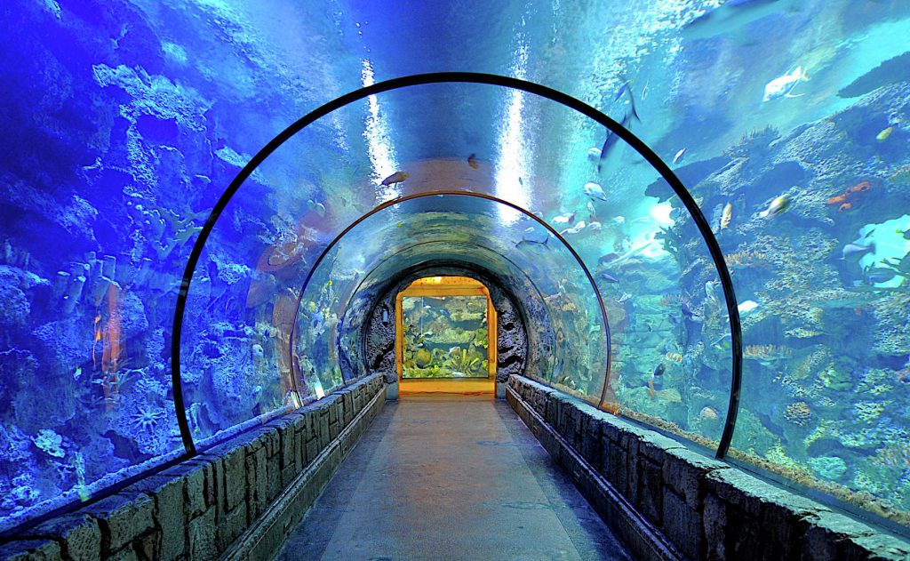 mandalay aquarium best things to do in las vegas